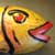 "Fisch"