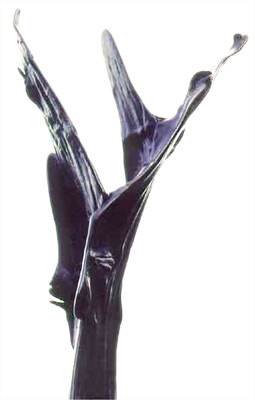 "Gabelung"